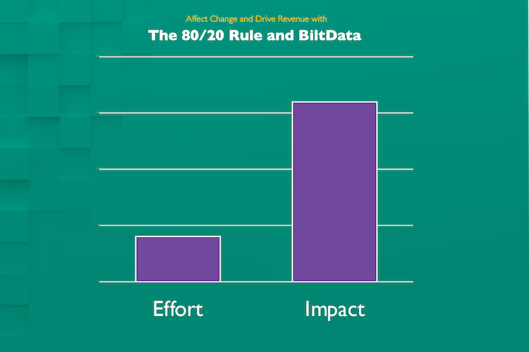 BiltData - 80-20 Rule and BiltData