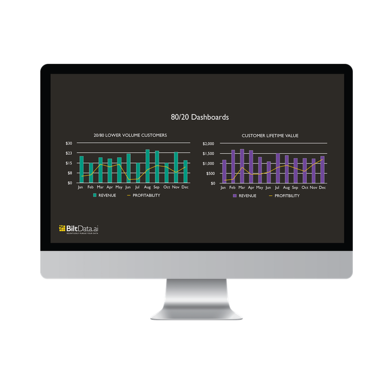 BiltData.ai - 80:20 Sales Dashboards for Quick Business Intelligence