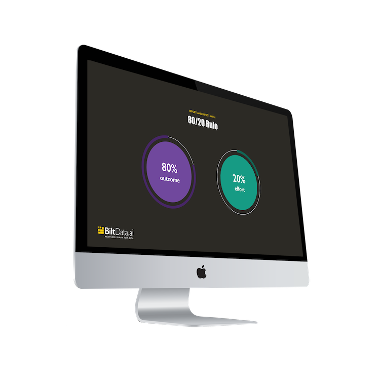 BiltData.ai uses the 80/20 Rule to Guide us in B2B customer and transaction analysis